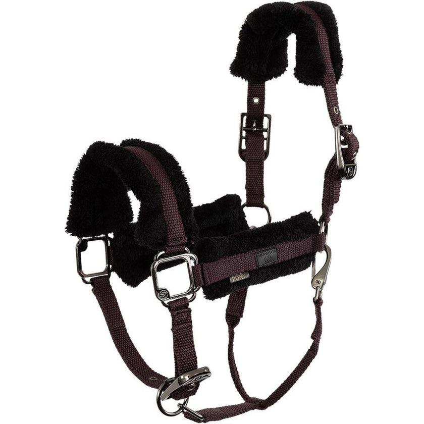 BR Halter AW25 Eevolv Jonne Raisin