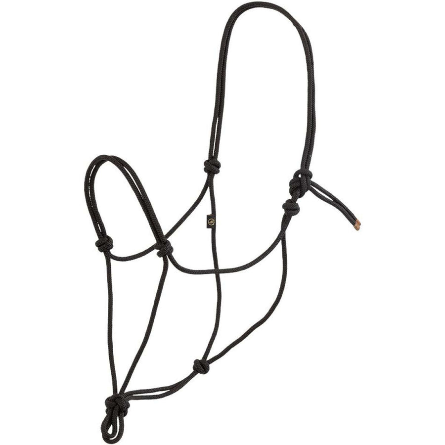 BR Rope Halter Meteorite