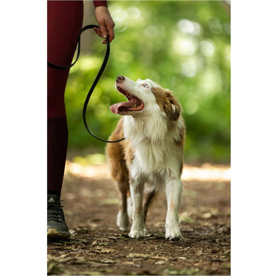 BR Dog Leash Black