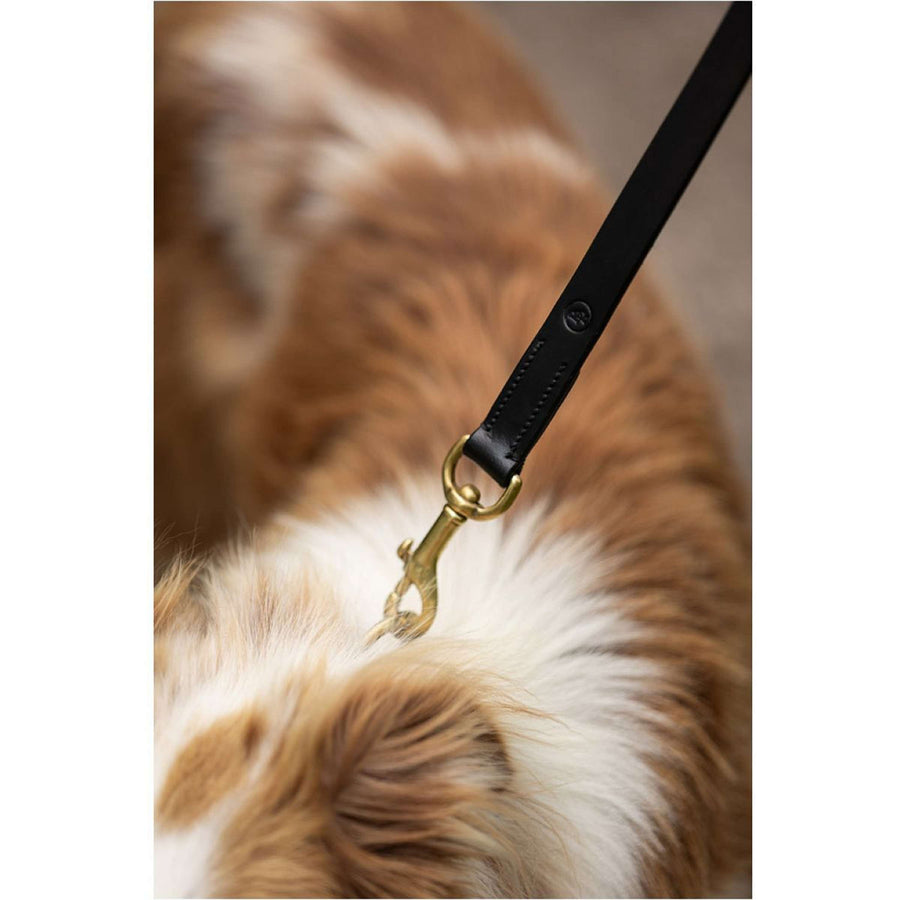 BR Dog Leash Black