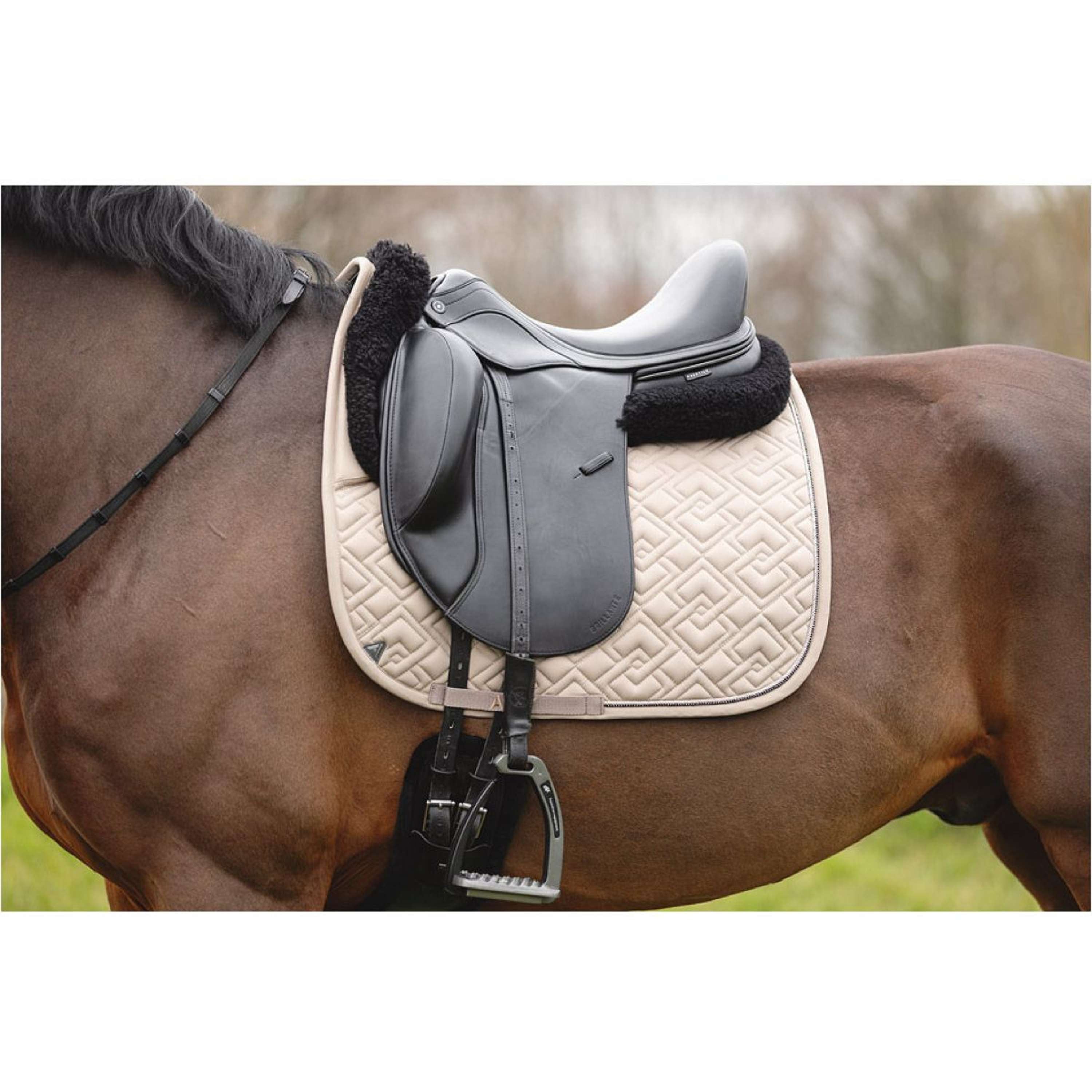 ANKY Saddlepad Professional XB25001 3C Moon Rock