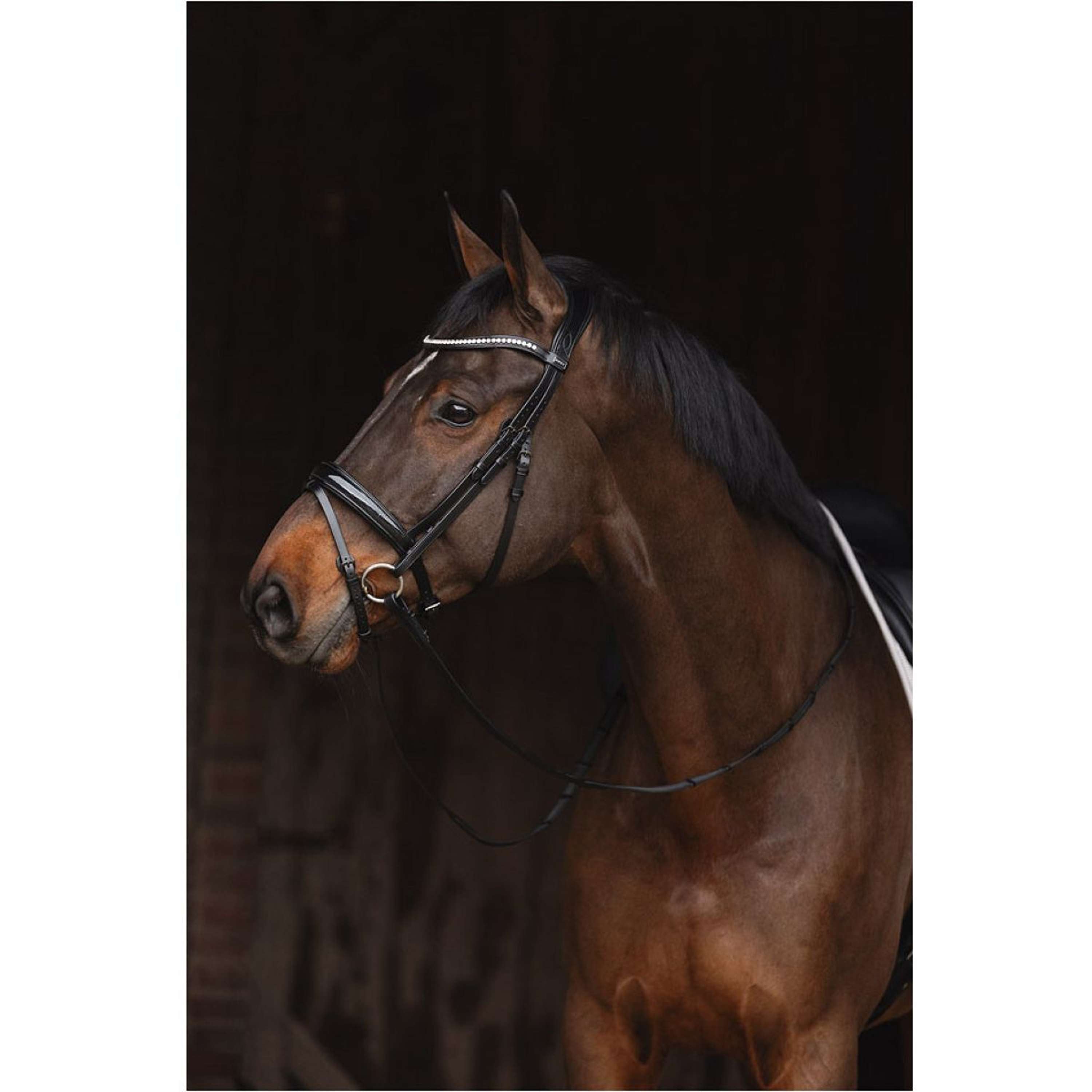 ANKY Bridle Metallic Patent ATH24001 Black