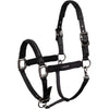 ANKY Halter Victory ATH25001 Black