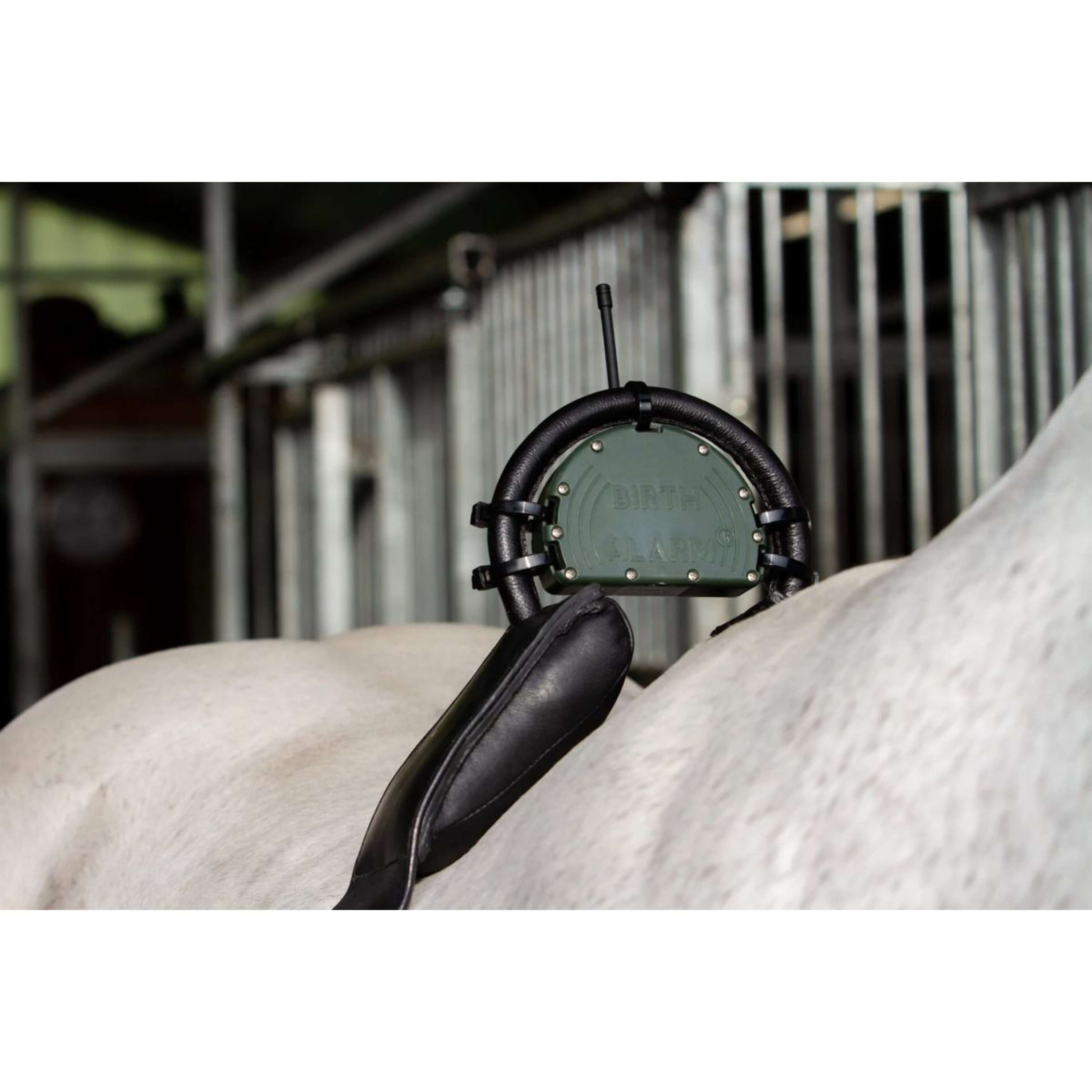 Birth Alarm Anti-Roll Girth Complete