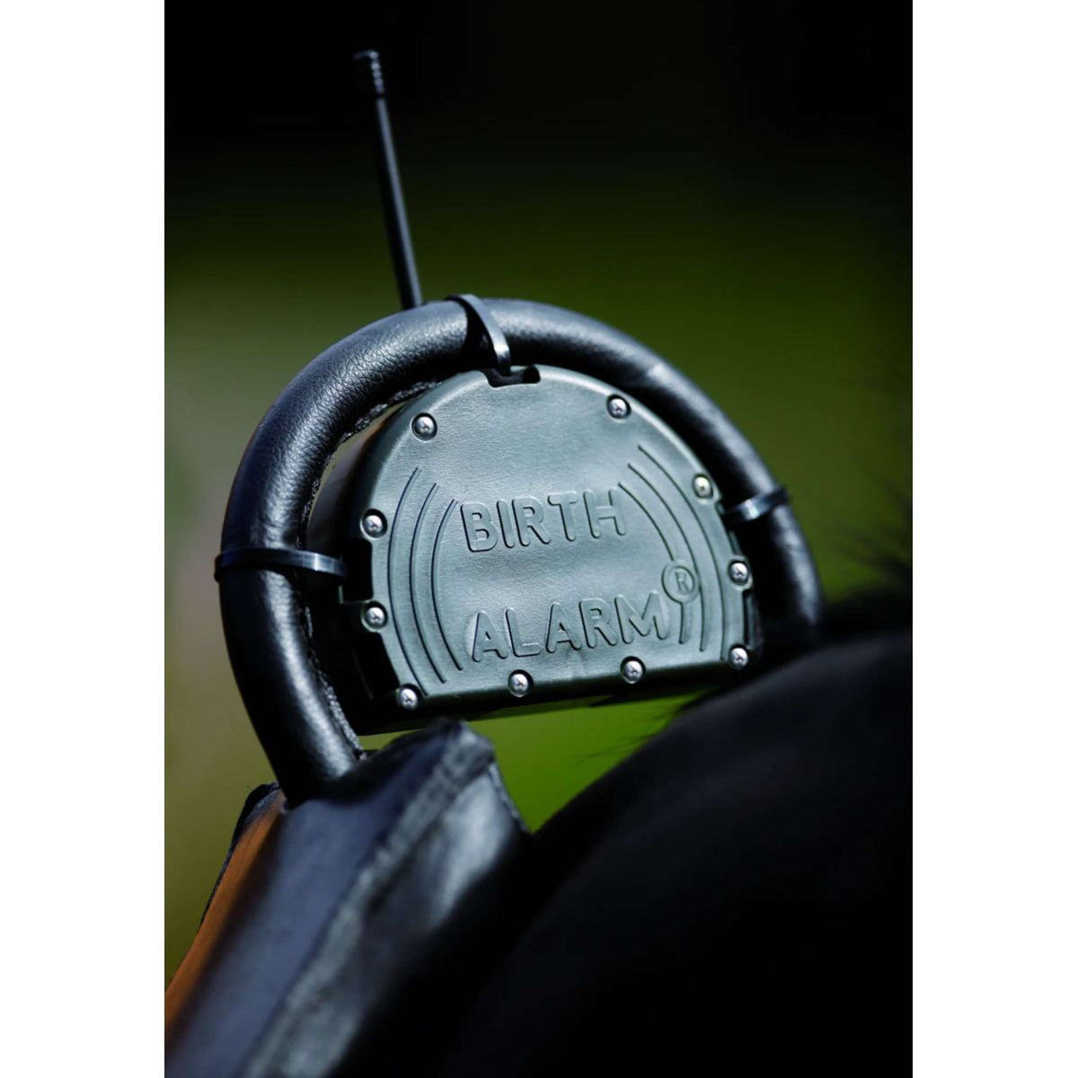 Birth Alarm Classic
