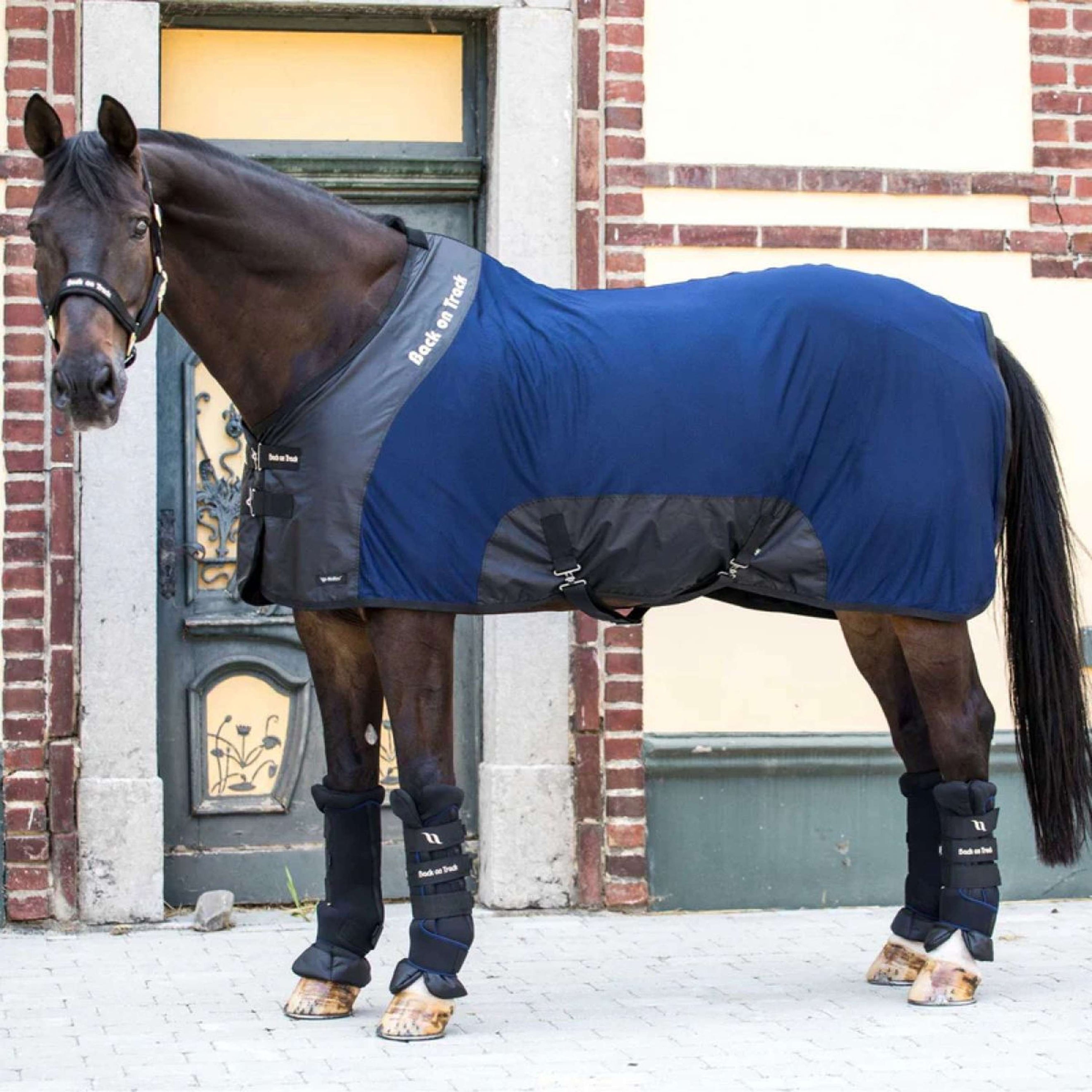 Back on Track Mesh Rug Royal Deluxe Blue Back on Track Mesh Rug Royal Deluxe Blue