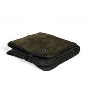 Back on Track Heated Cushion