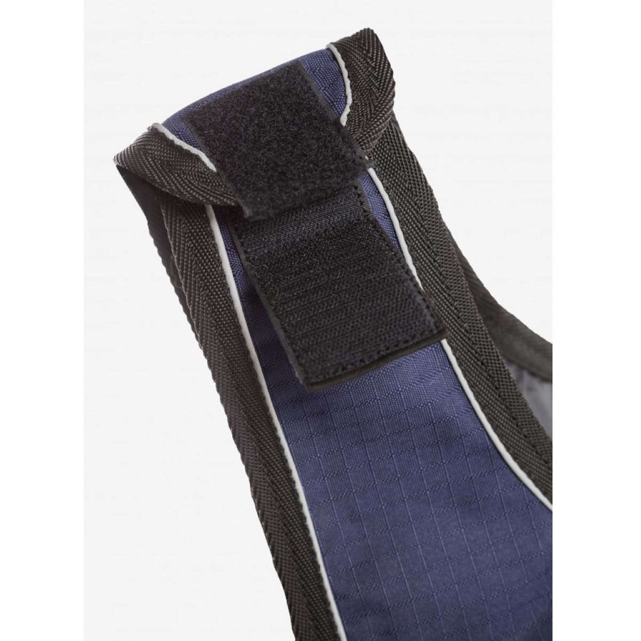 Back on Track Exercise Rug Sammy Blue