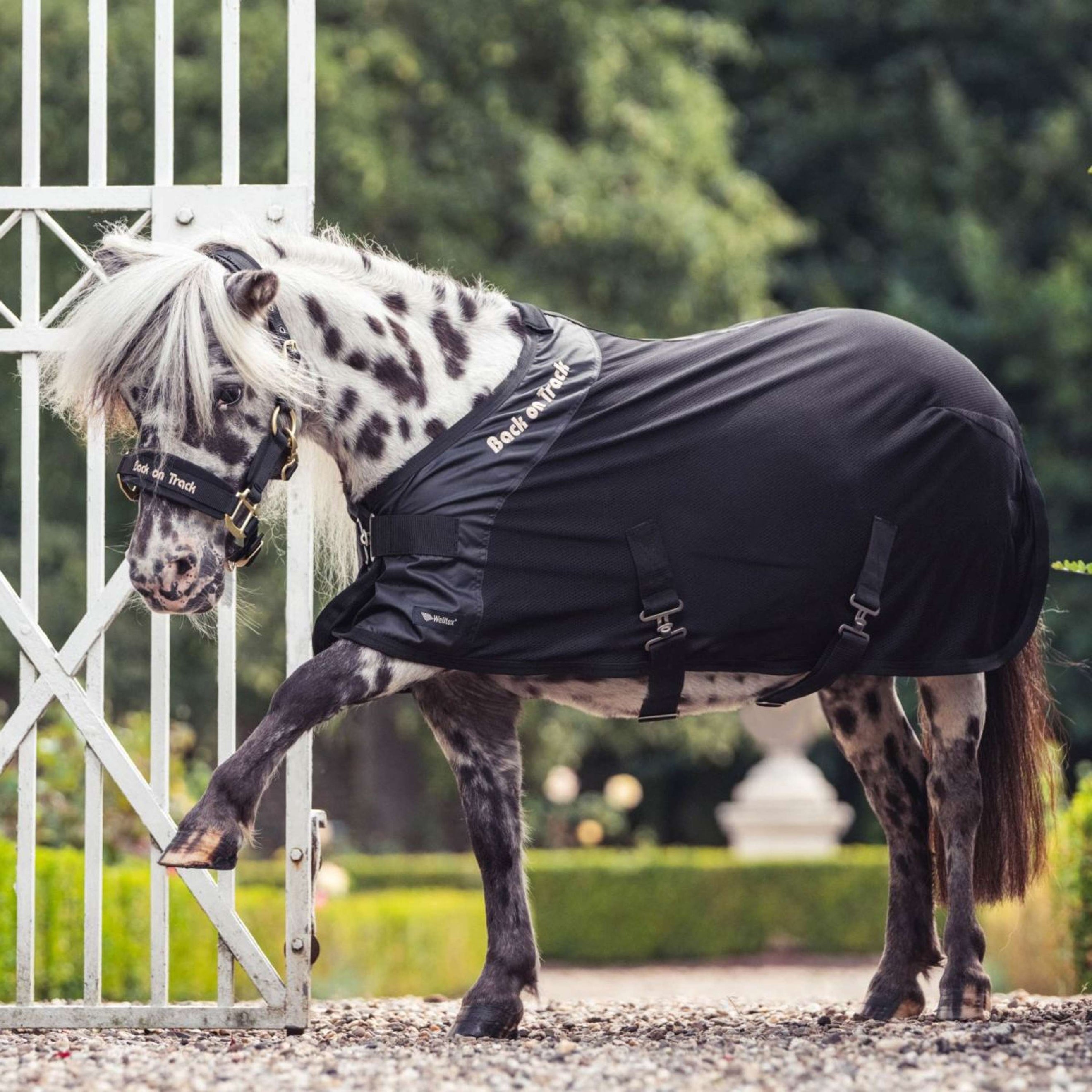 Back on Track Royal Mesh Rug Pony Deluxe Black