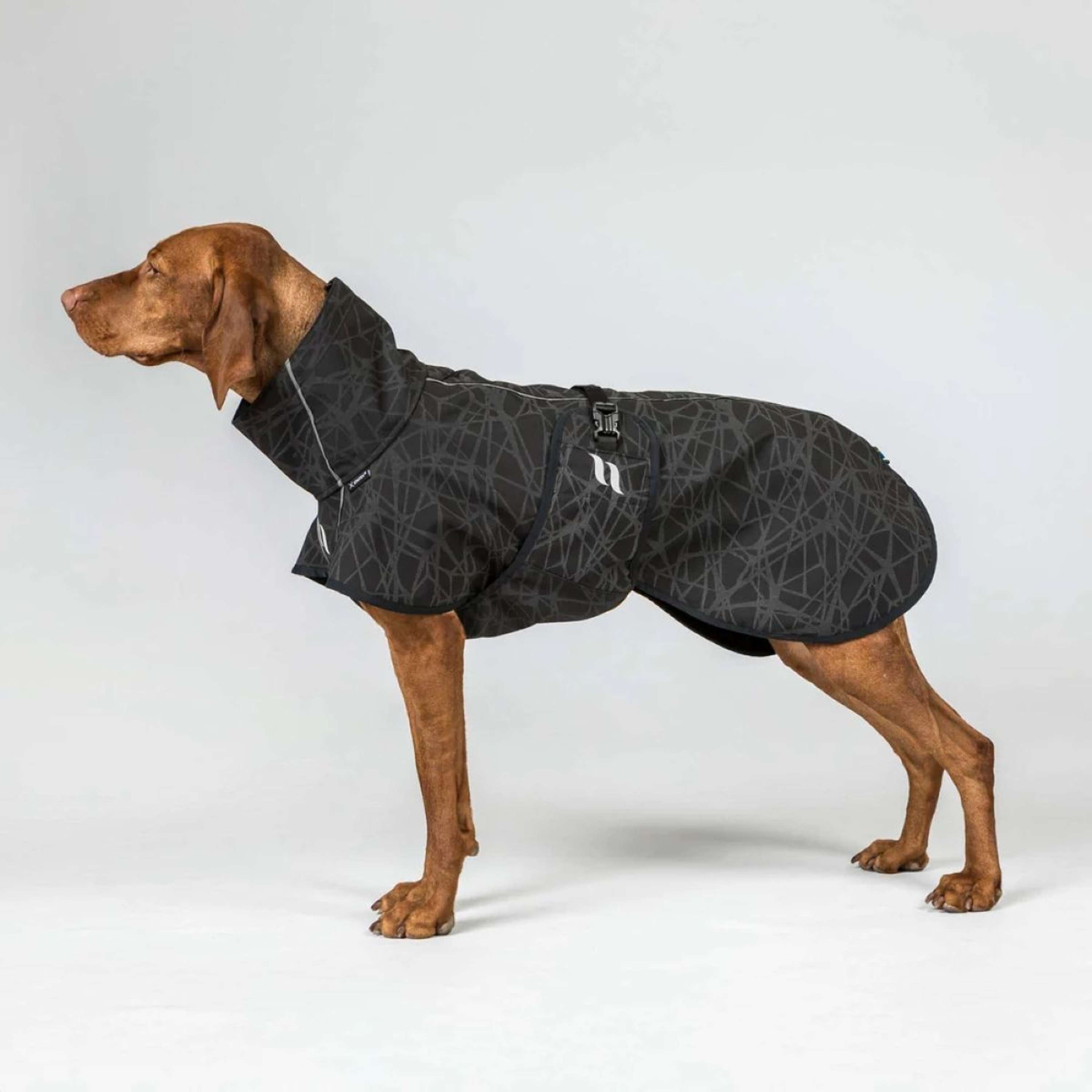 Back on Track Dog Coat BARK Black/Grey