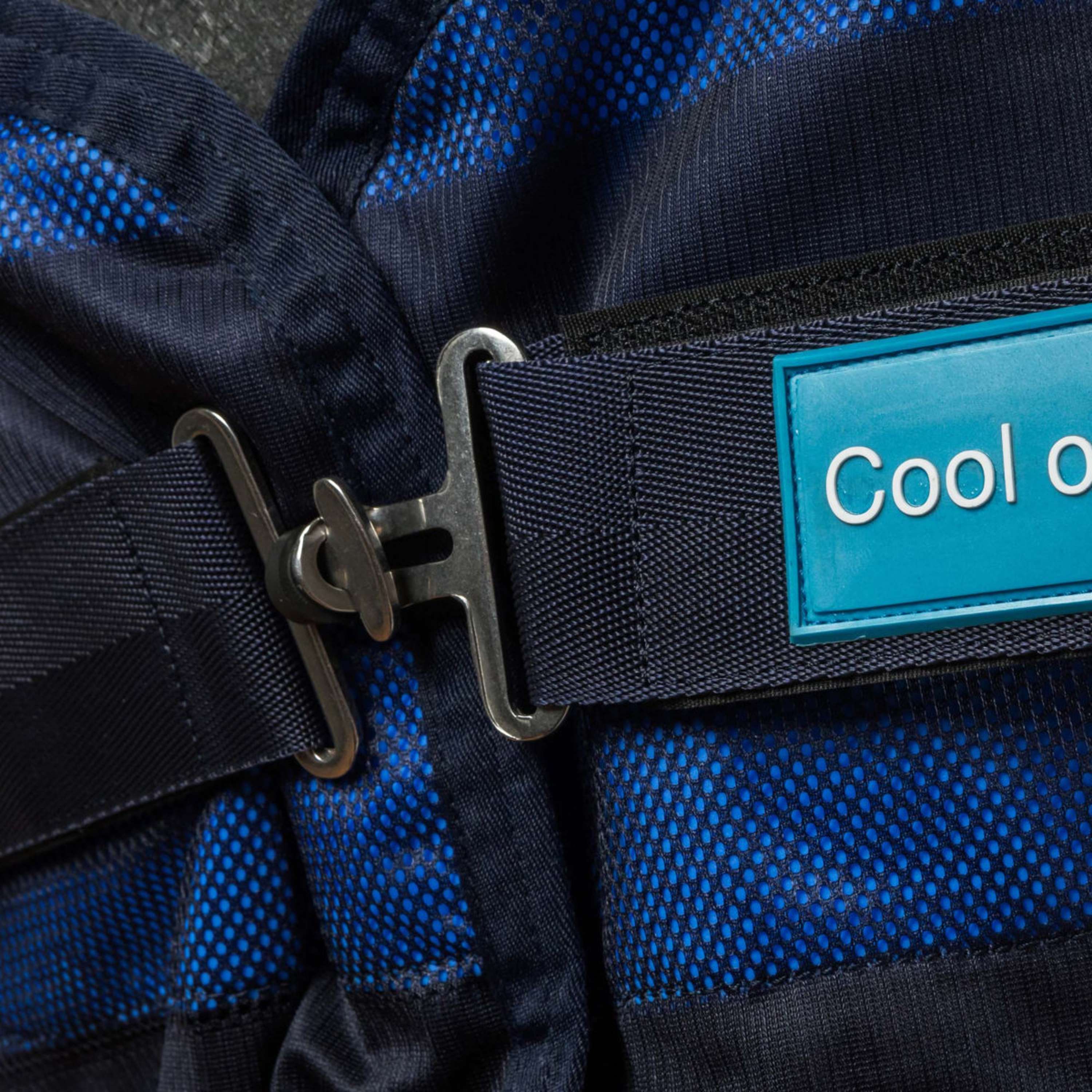 Cool on Track Mesh Rug Blue