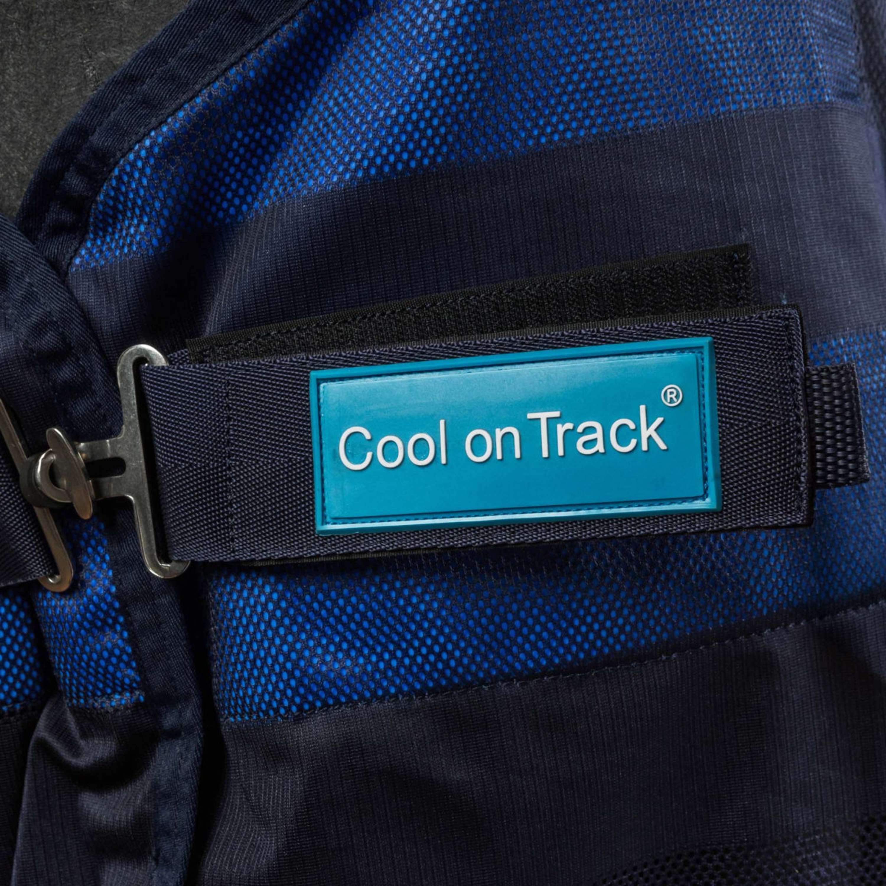 Cool on Track Mesh Rug Blue
