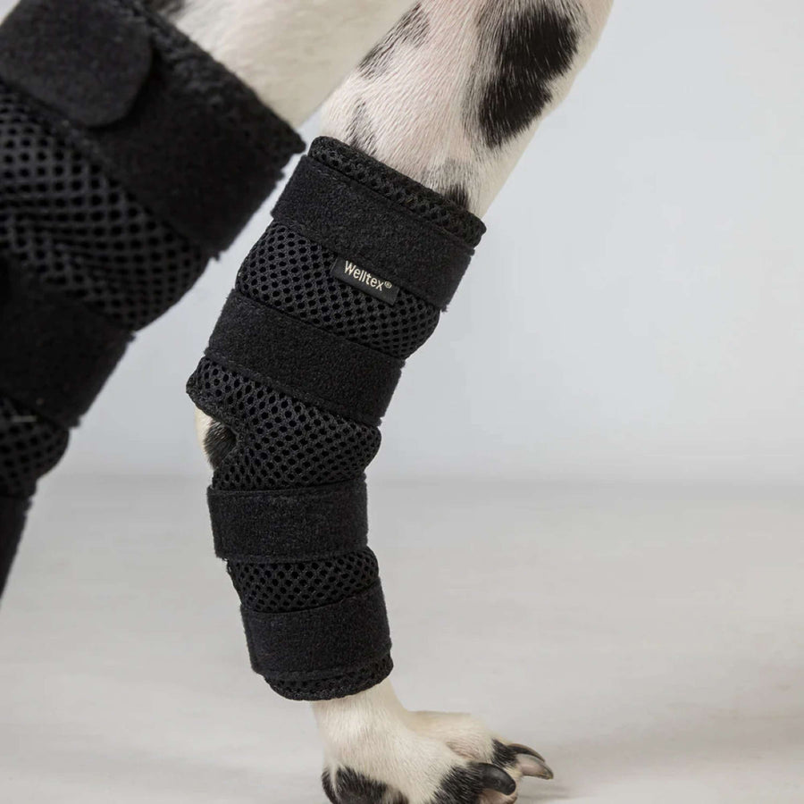 Back on Track Hock Protector Dixie Dog Black