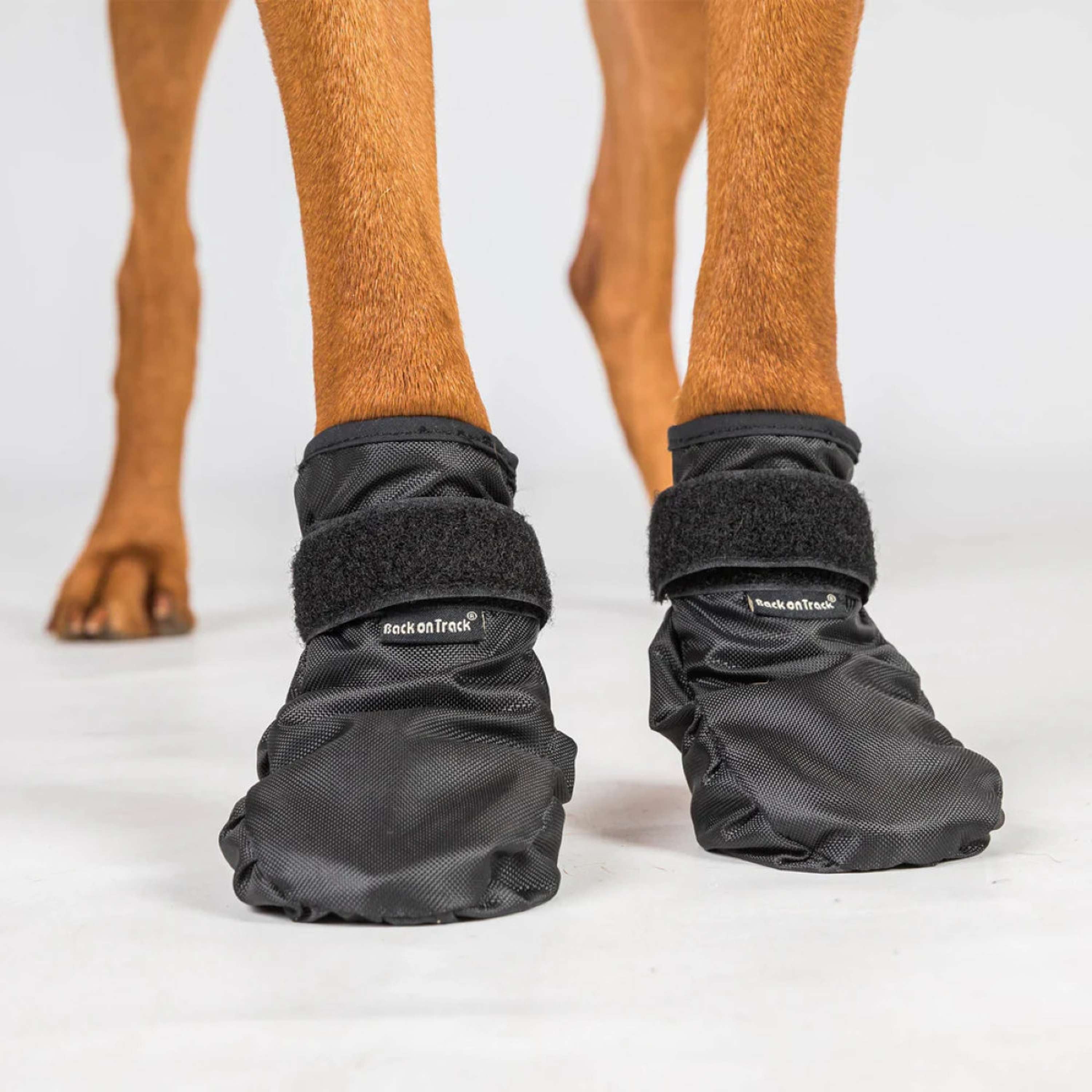 Back on Track Dogs Shoes Koda Black
