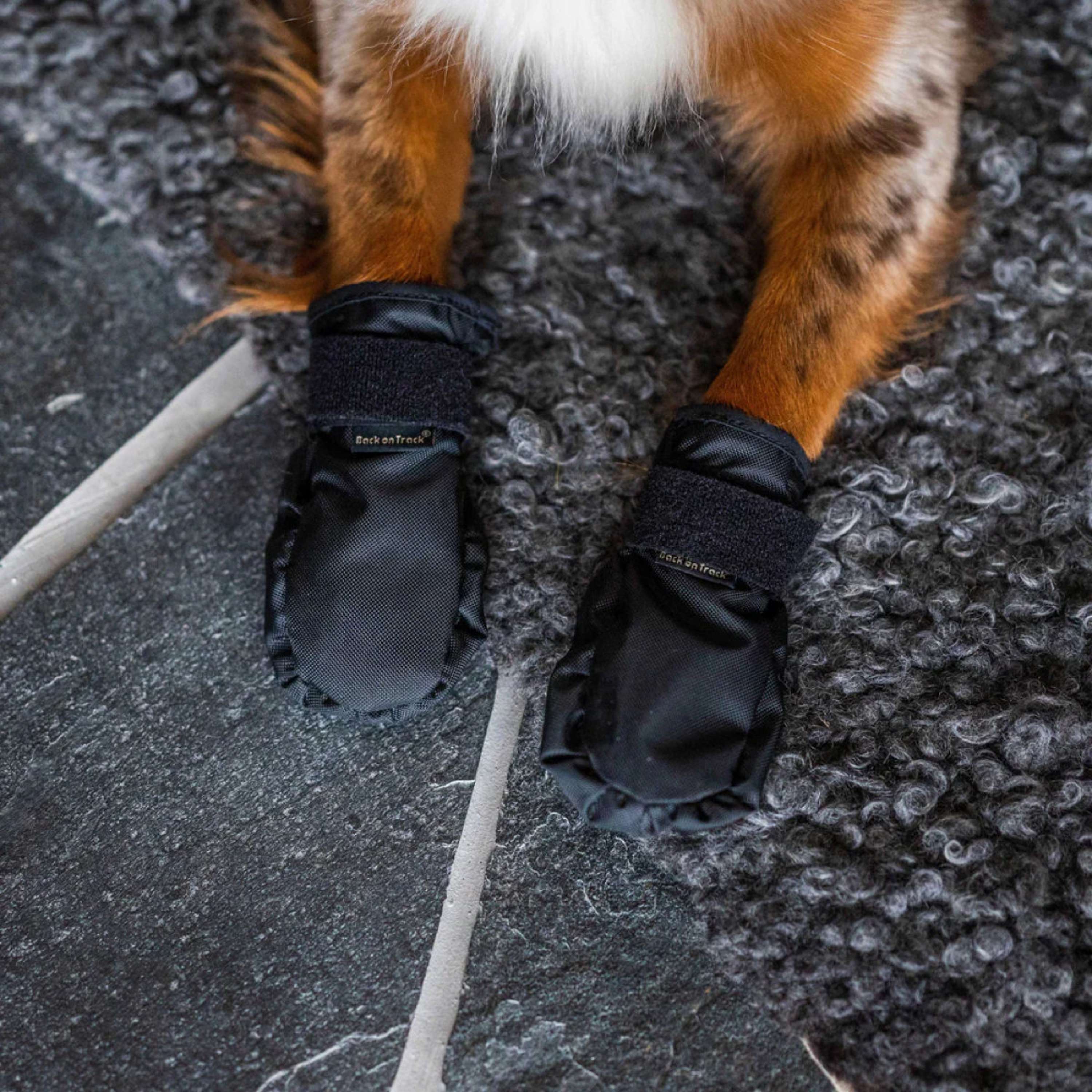 Back on Track Dogs Shoes Koda Black