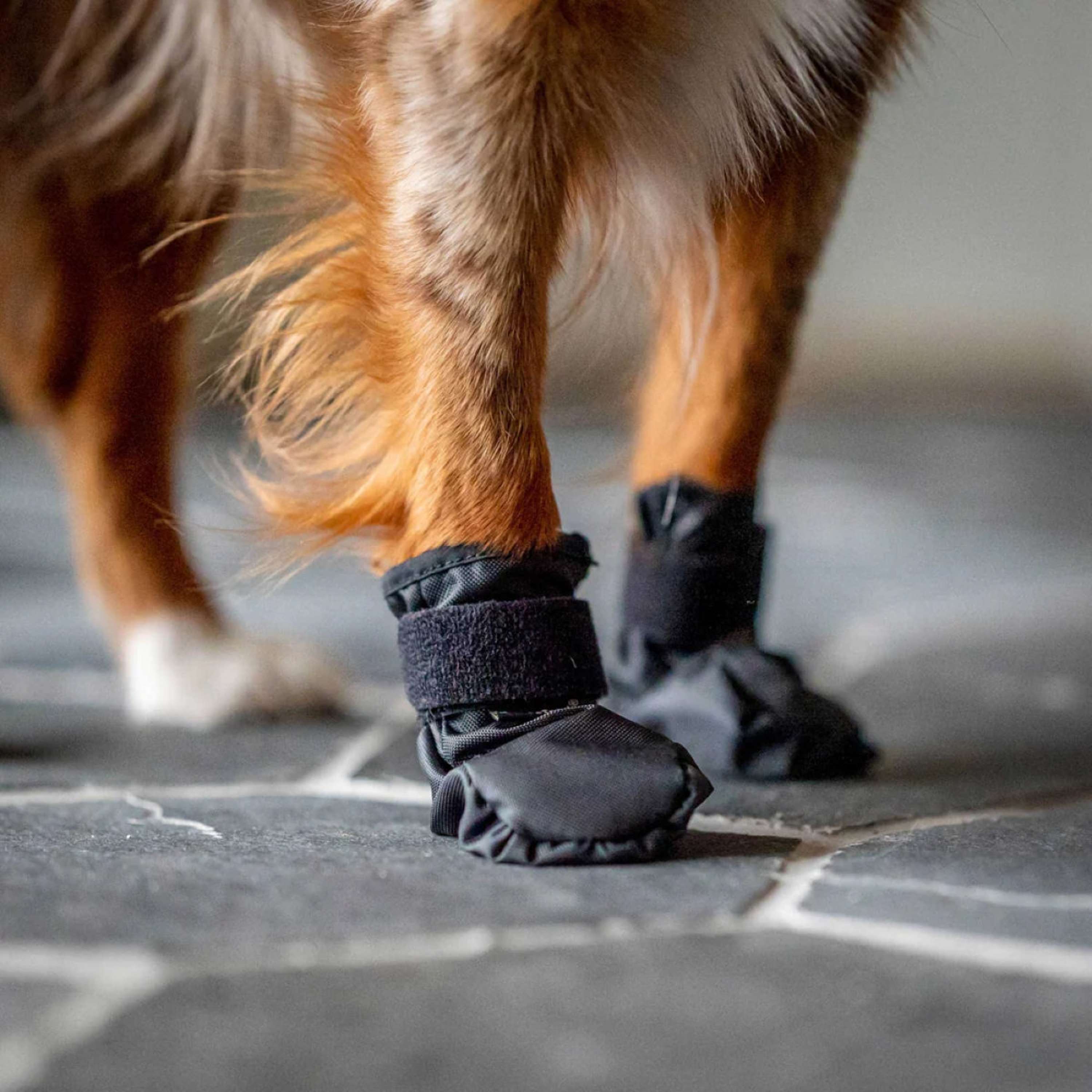 Back on Track Dogs Shoes Koda Black