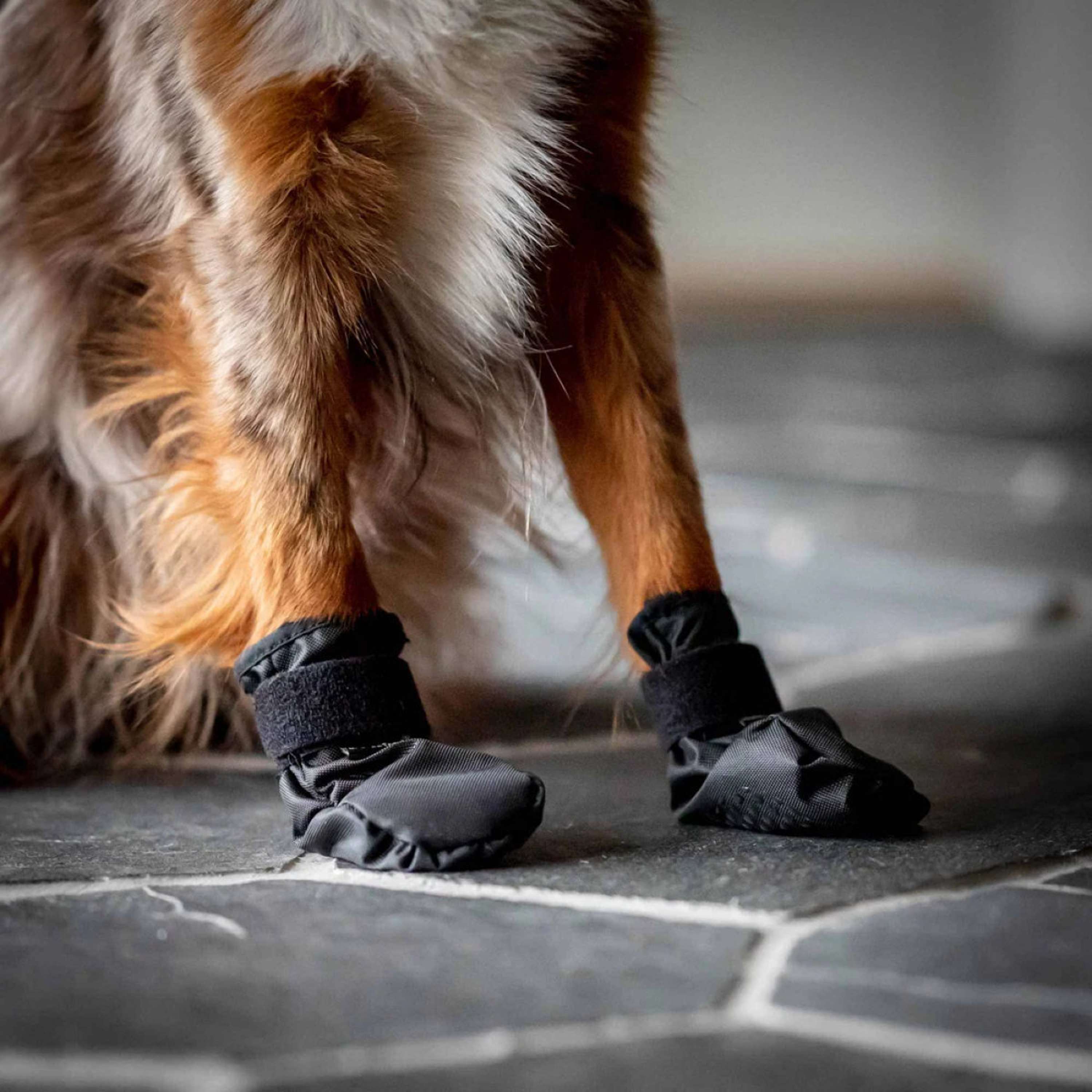 Back on Track Dogs Shoes Koda Black