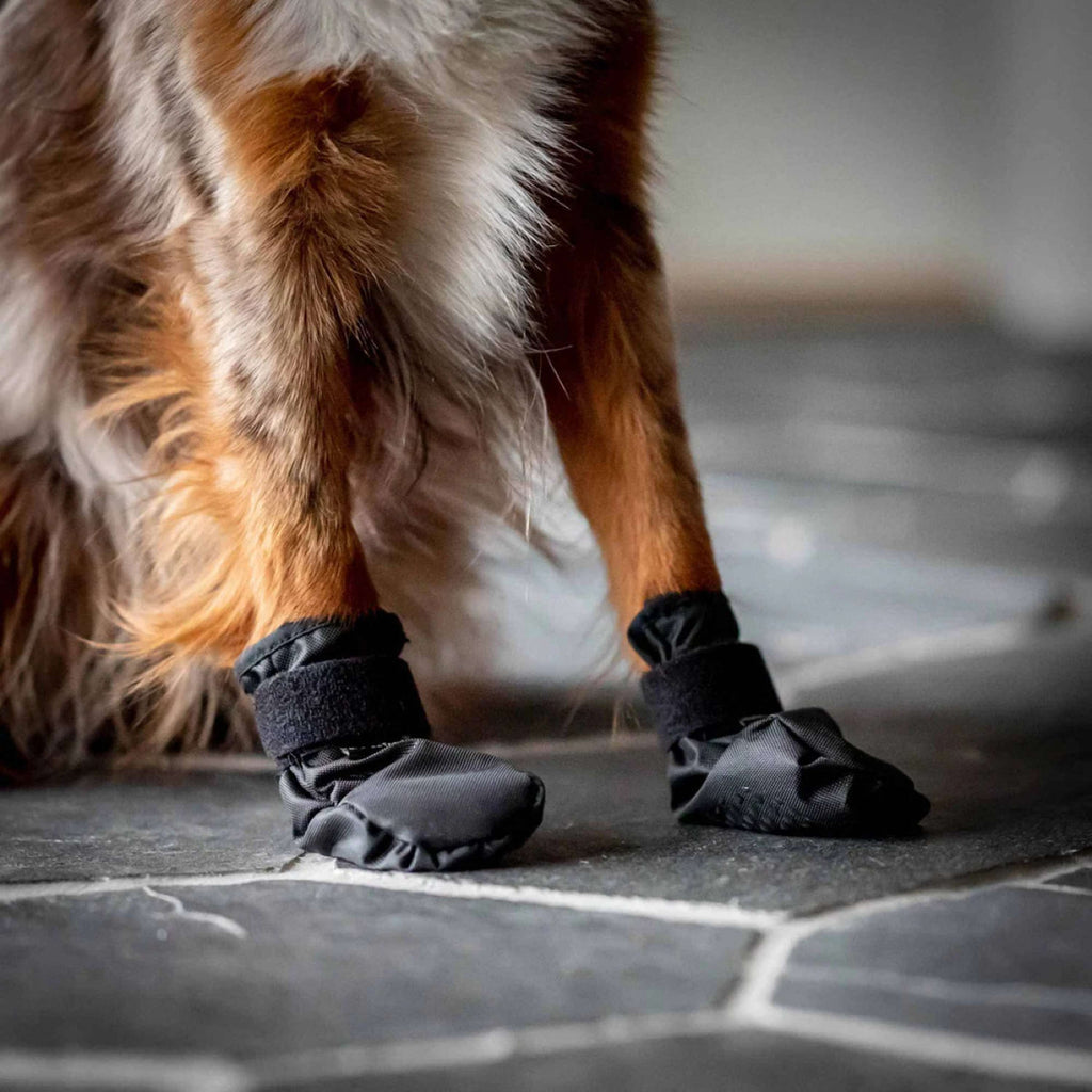 Back on Track Dogs Shoes Koda Black