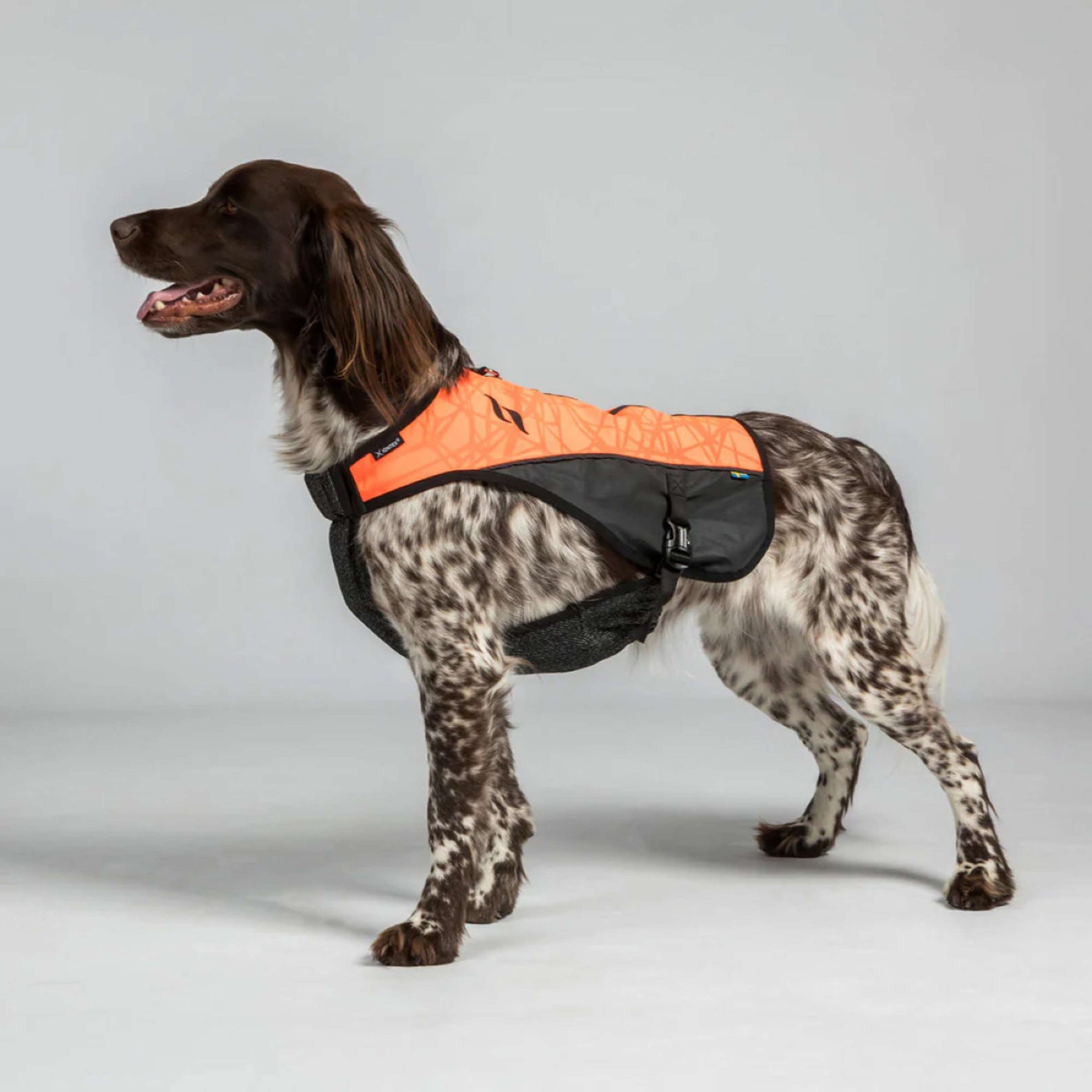 Back on Track Dog Coat TRAKK Reflective Orange