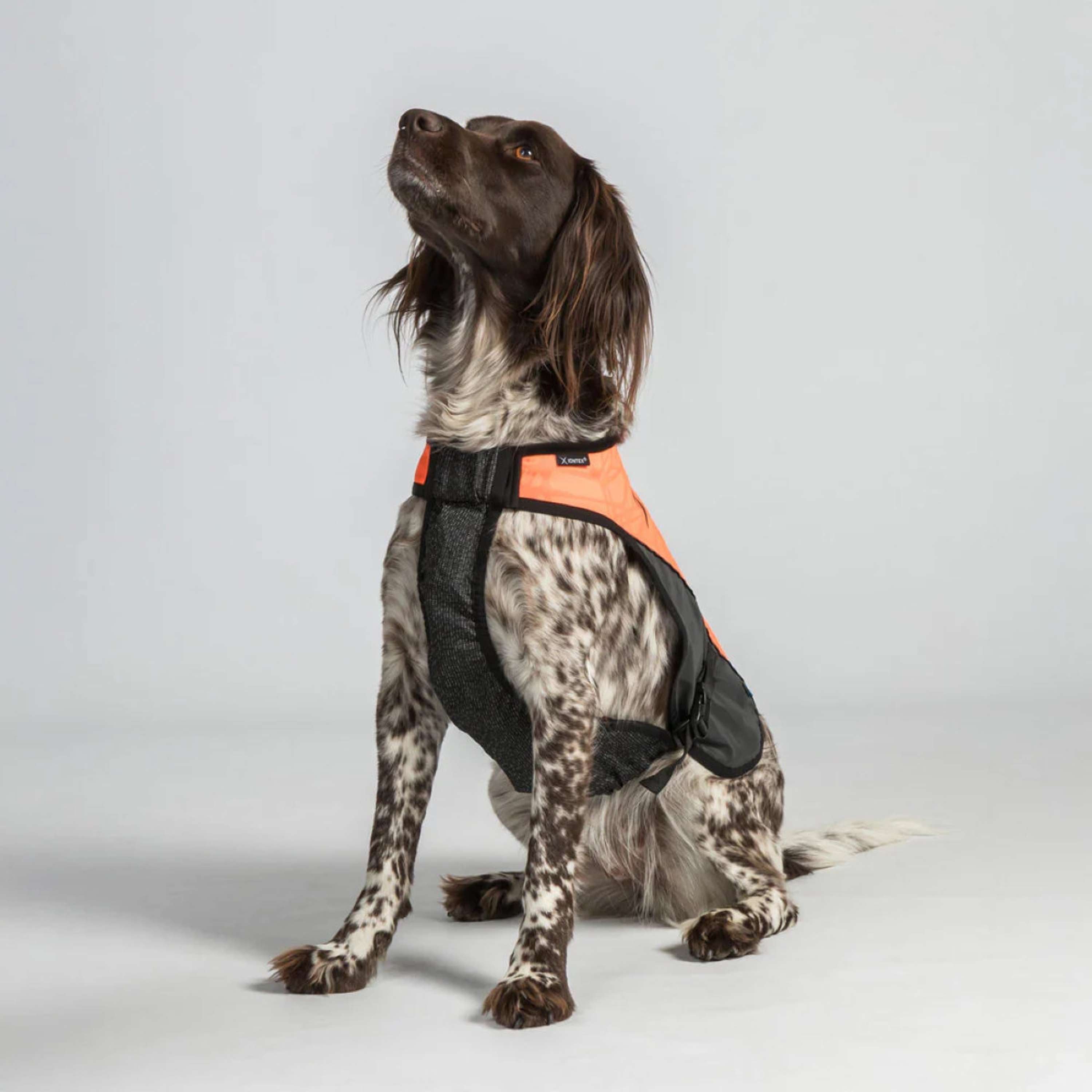 Back on Track Dog Coat TRAKK Reflective Orange