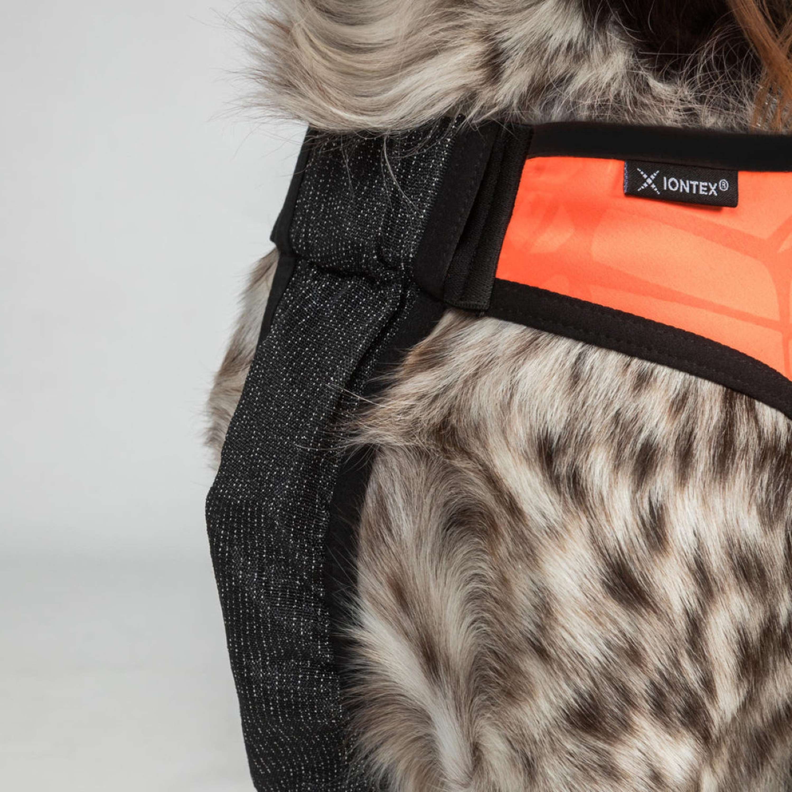 Back on Track Dog Coat TRAKK Reflective Orange
