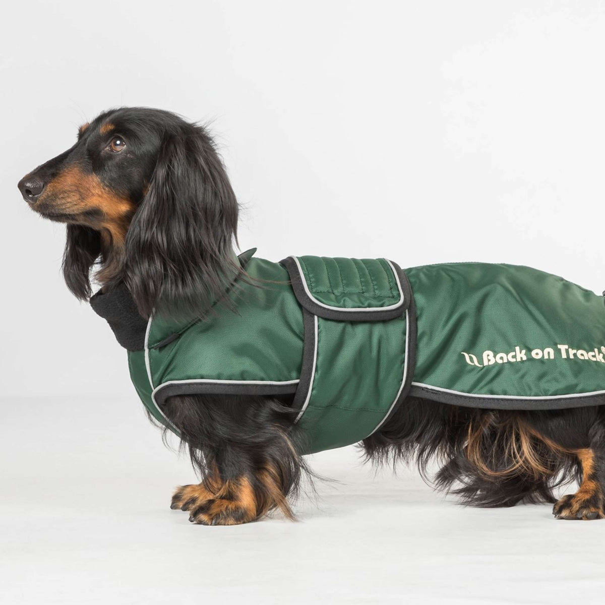 Back on Track Dog Coat Buddy Green