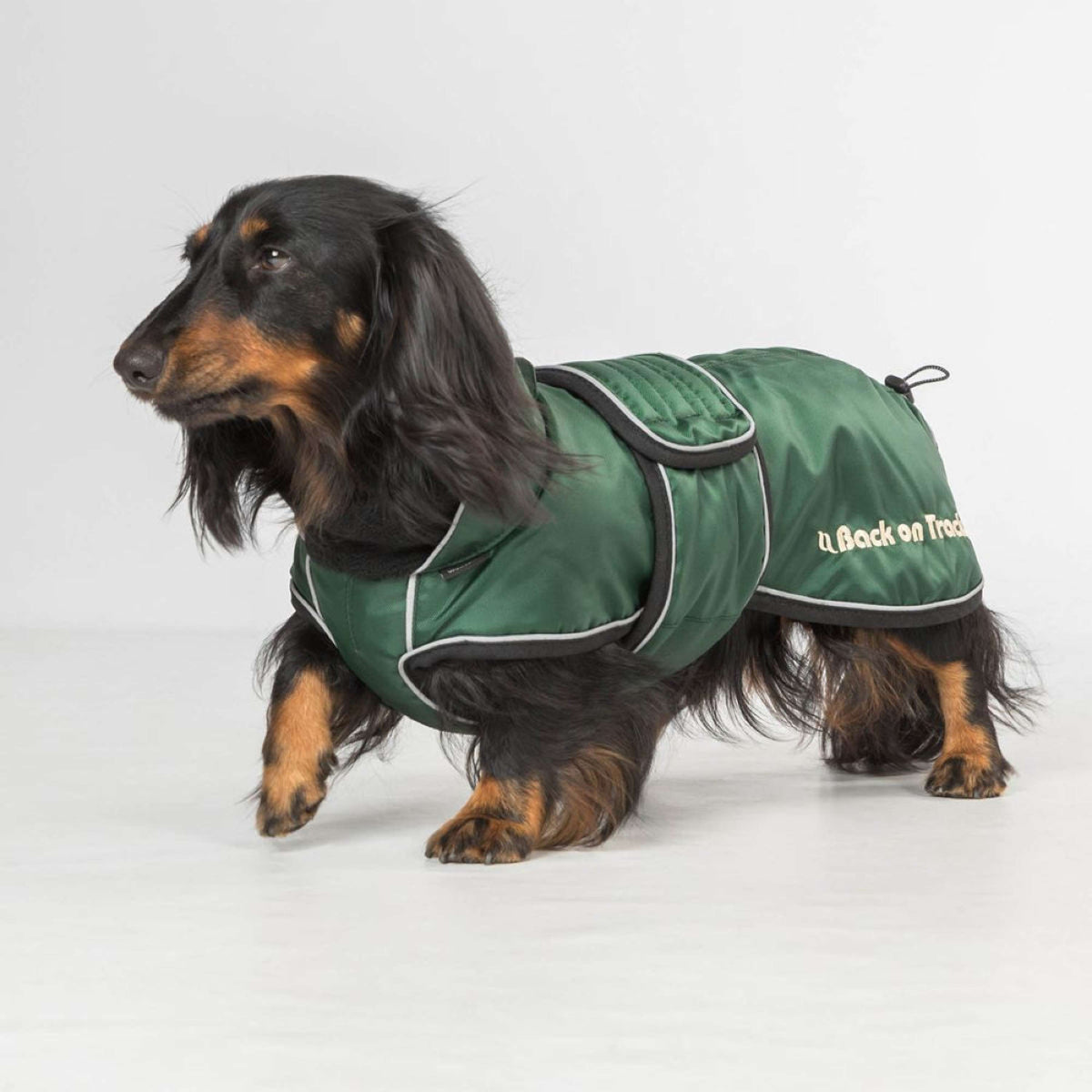 Back on Track Dog Coat Buddy Green