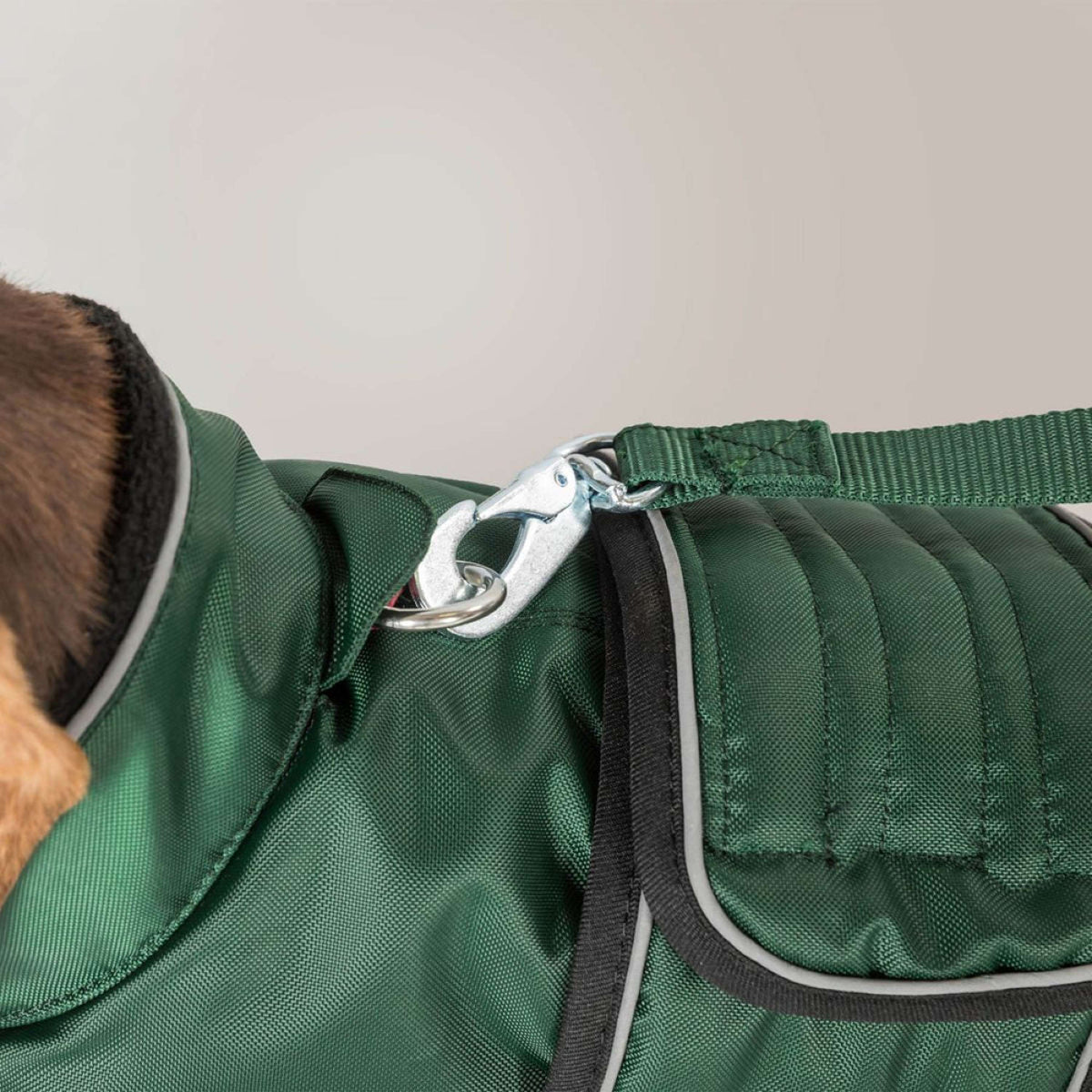 Back on Track Dog Coat Buddy Green