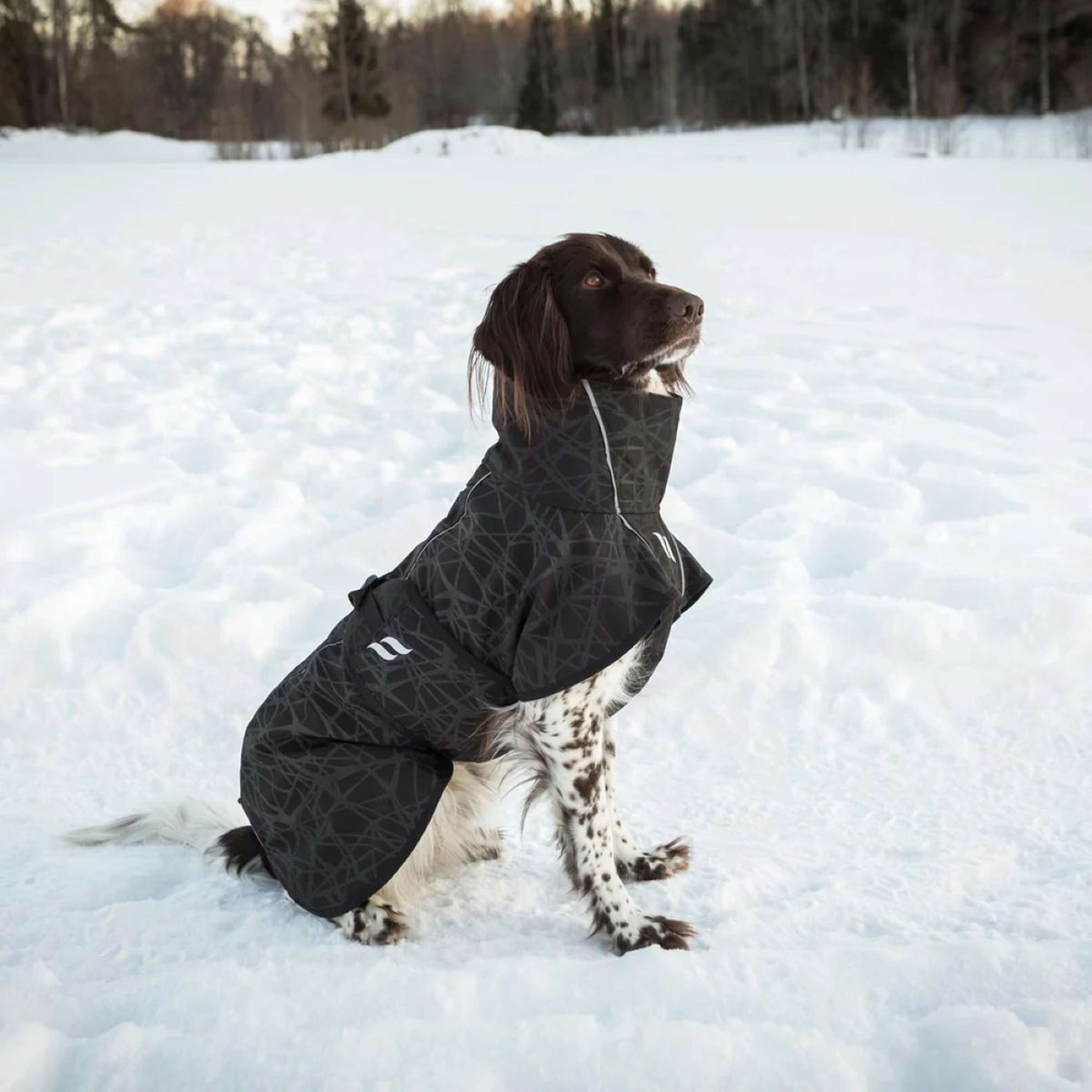 Back on Track Dog Coat BARK Black/Grey