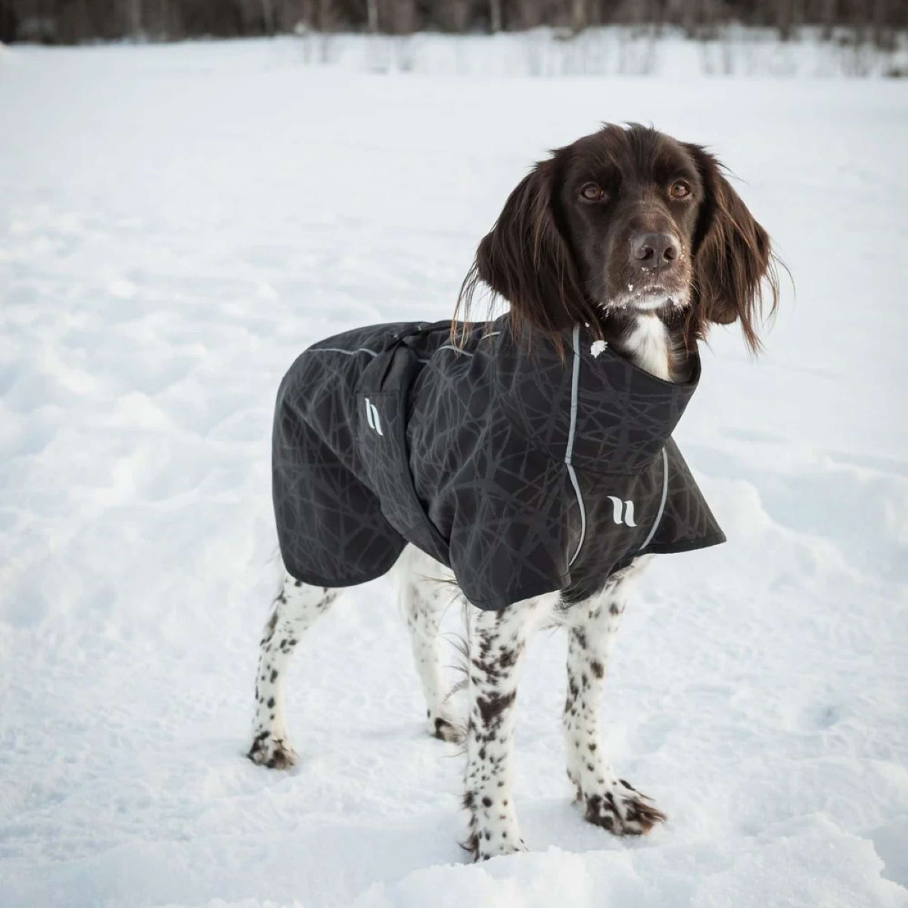 Back on Track Dog Coat BARK Black/Grey