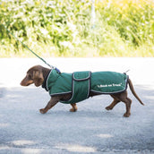 Back on Track Dog Coat Buddy Green