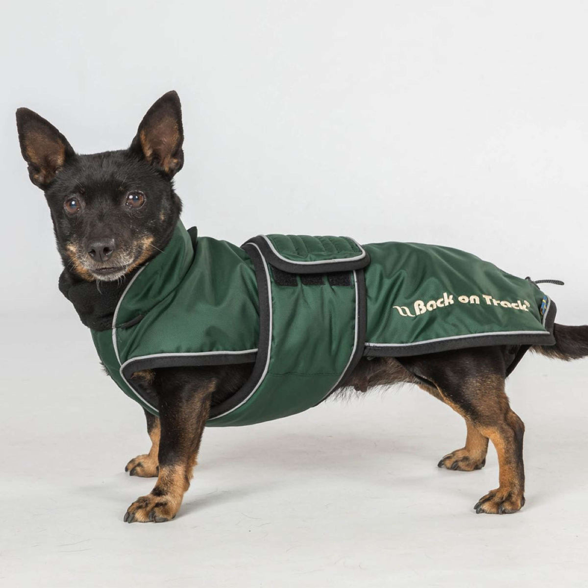 Back on Track Dog Coat Buddy Green