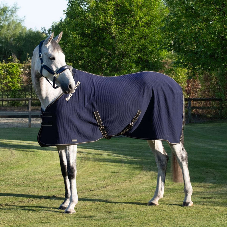 Back On Track Cooler Quick Blue