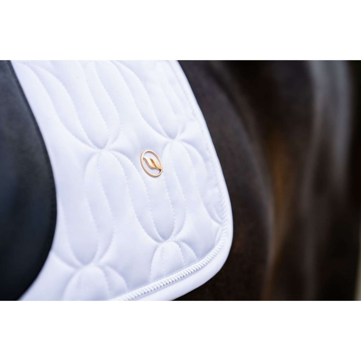 Back on Track Saddlepad Deep Nights Dressage White