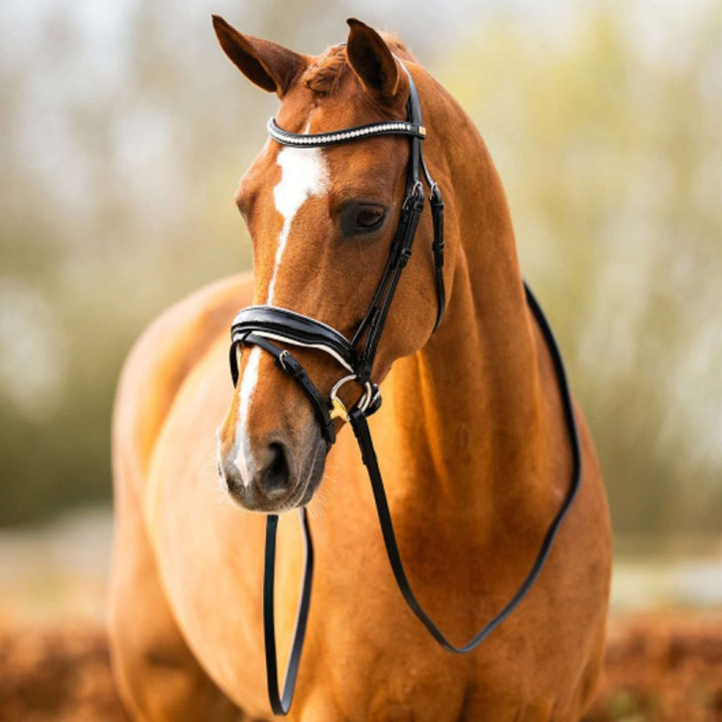 BR Bridle Hailsham Black/White