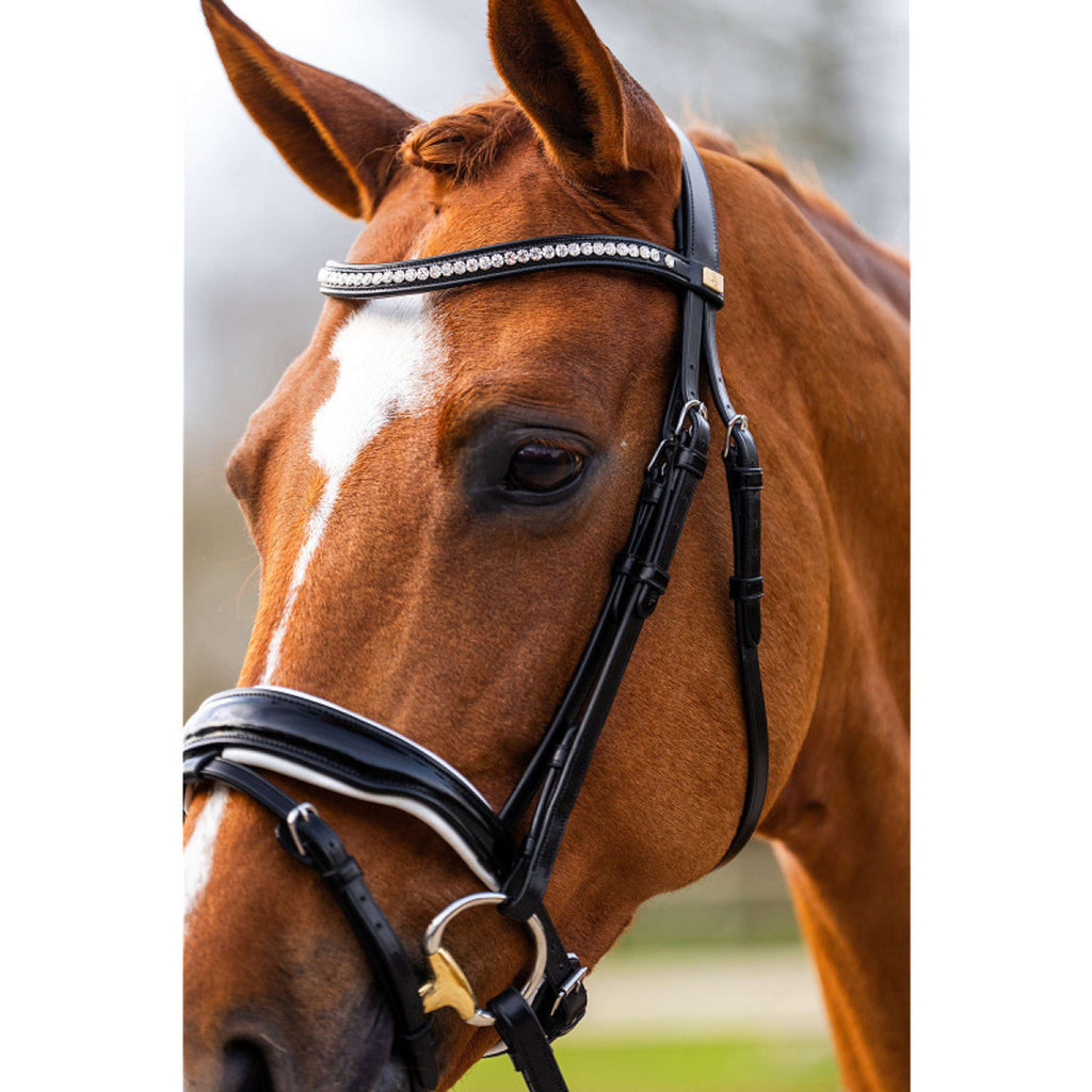 BR Bridle Hailsham Black/White