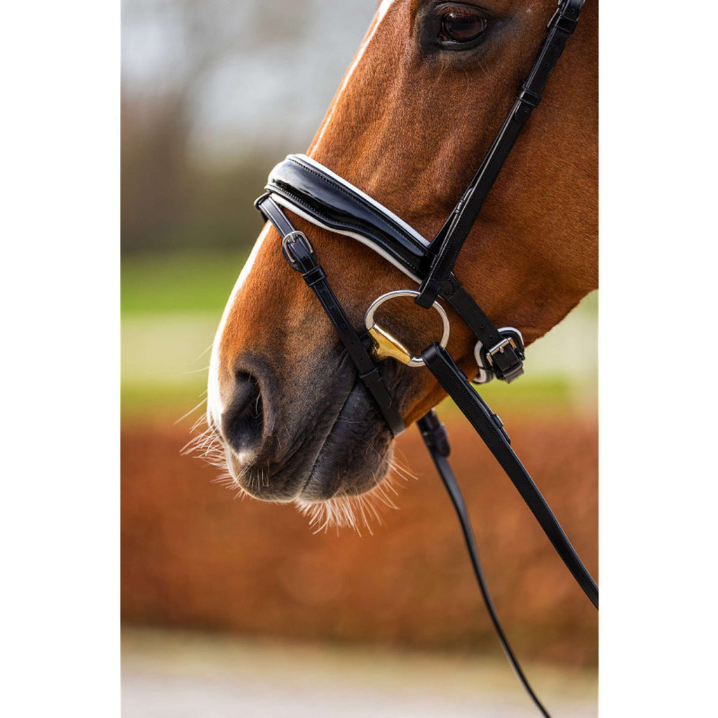 BR Bridle Hailsham Black/White