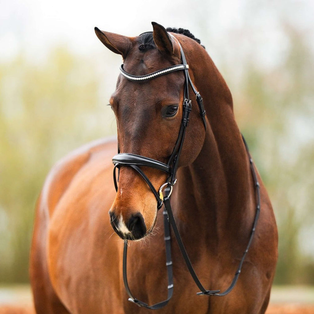 BR Bridle Southall Black/Silver