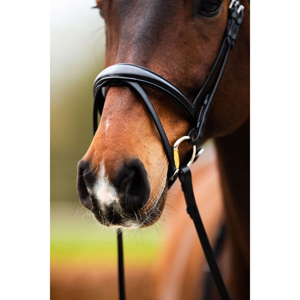 BR Bridle Southall Black/Silver
