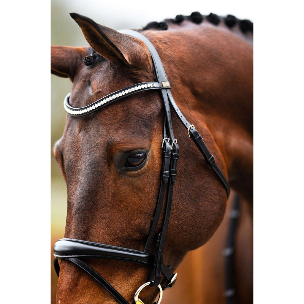 BR Bridle Southall Black/Silver