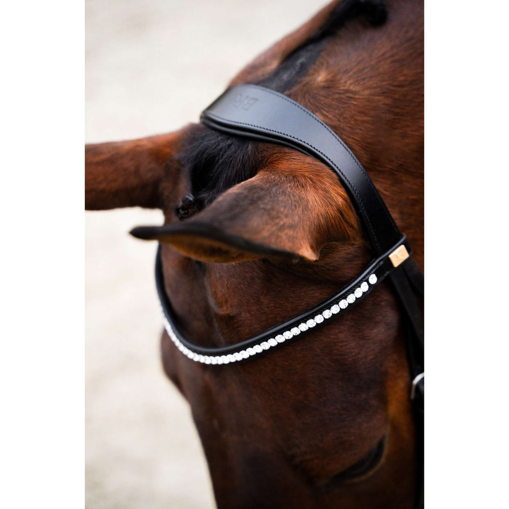 BR Bridle Southall Black/Silver