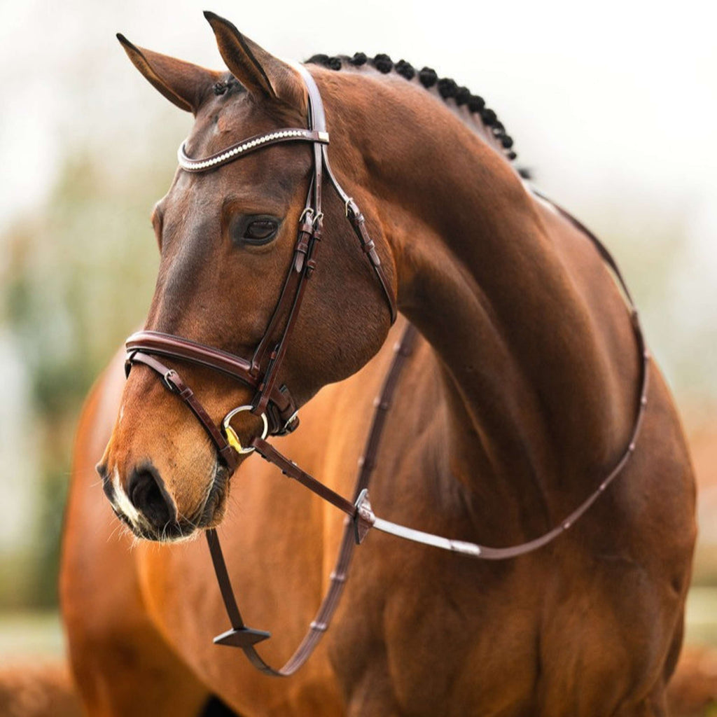 BR Bridle Shildon Oak/Silver