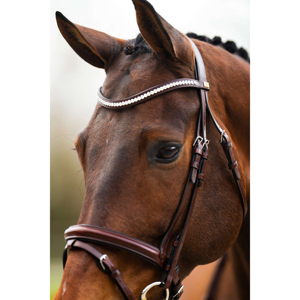 BR Bridle Shildon Oak/Silver