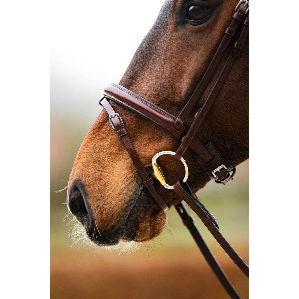 BR Bridle Shildon Oak/Silver