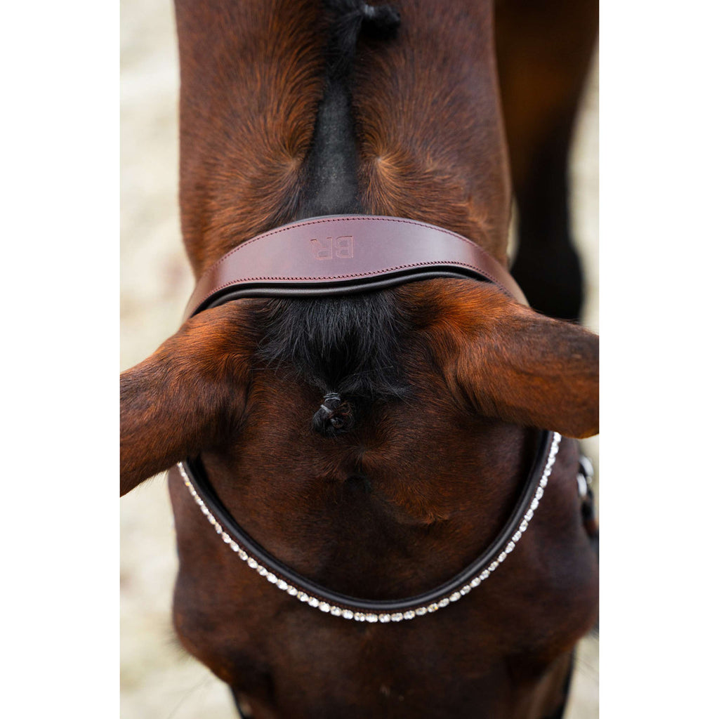BR Bridle Shildon Oak/Silver