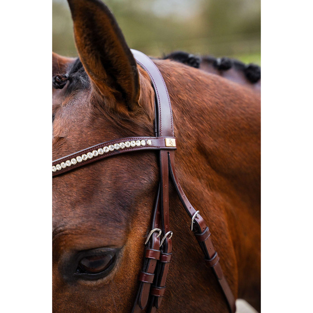 BR Bridle Shildon Oak/Silver