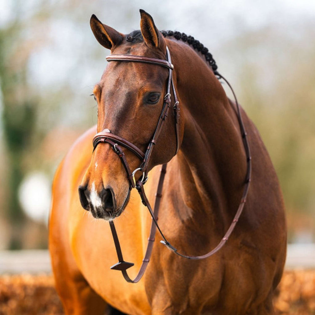 BR Bridle Sunderland Oak/Silver