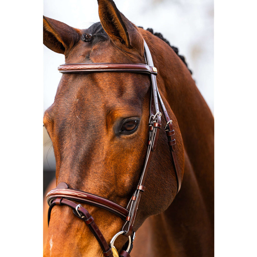 BR Bridle Sunderland Oak/Silver