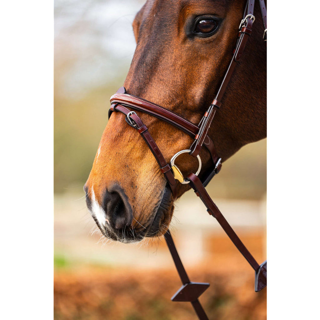 BR Bridle Sunderland Oak/Silver