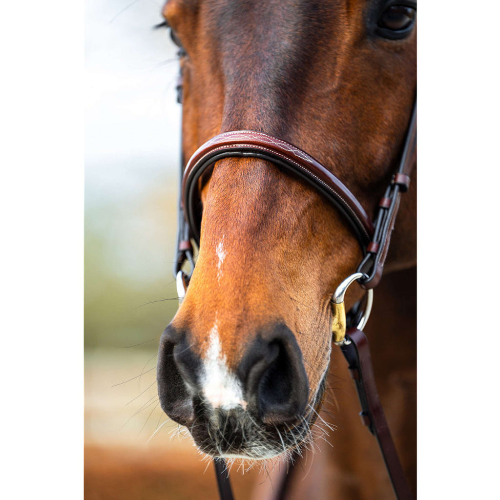 BR Bridle Sunderland Oak/Silver